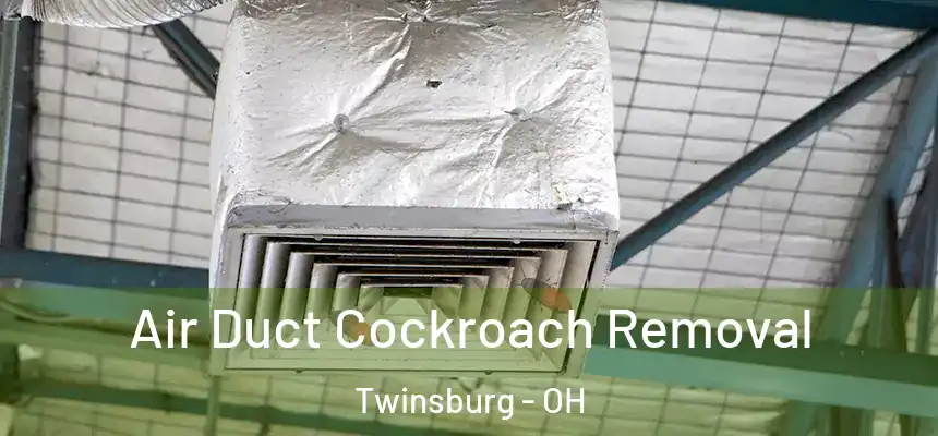  Air Duct Cockroach Removal Twinsburg - OH