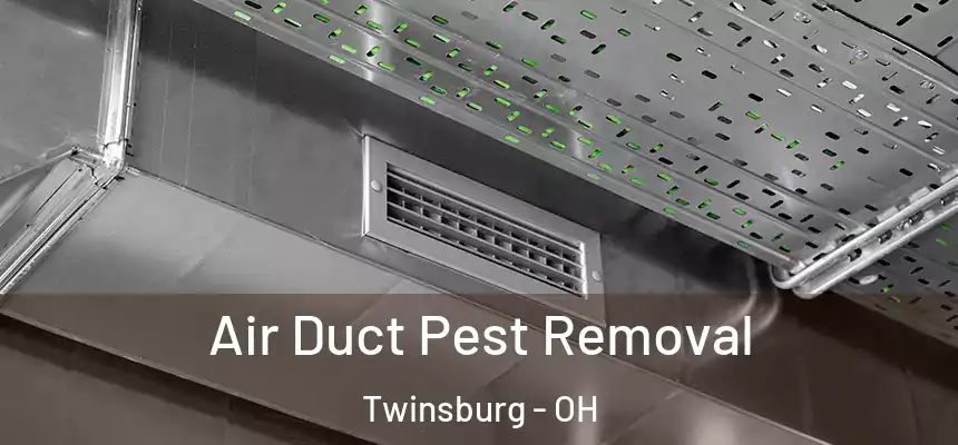  Air Duct Pest Removal Twinsburg - OH