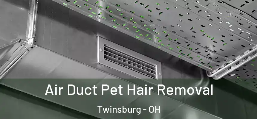 Air Duct Pet Hair Removal Twinsburg - OH