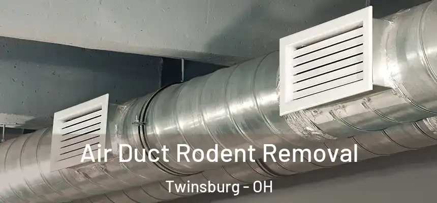 Air Duct Rodent Removal Twinsburg - OH