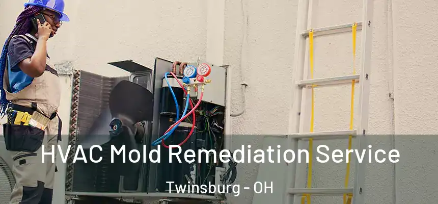  HVAC Mold Remediation Service Twinsburg - OH