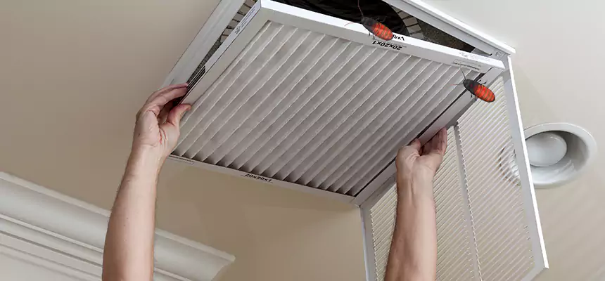 Preventive Cockroach-Proofing for Ducts in Twinsburg