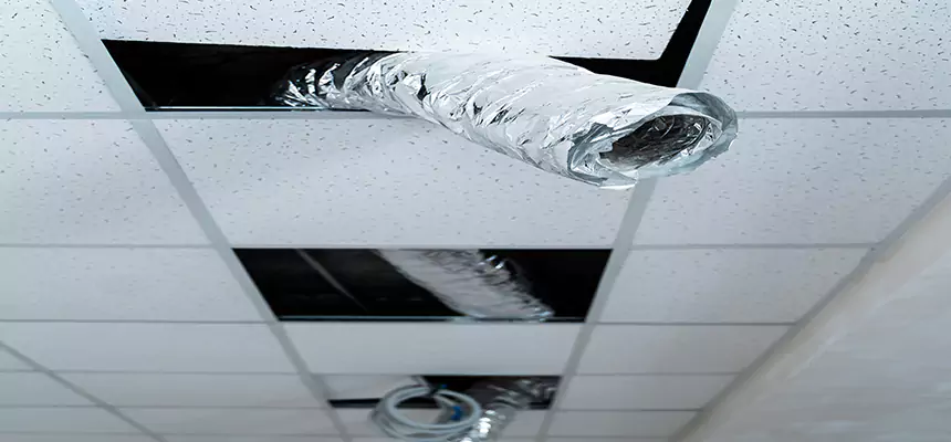 Our Air Duct Pet Hair Removal Services in Twinsburg, OH