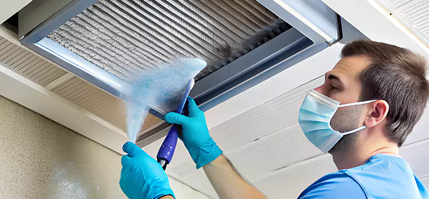 Proactive Dryer Vent & Auxiliary Duct Pollen Cleanup in Twinsburg, OH