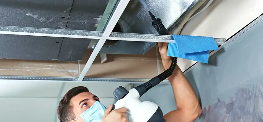 Our Air Duct Rodent Removal Services in Twinsburg, OH