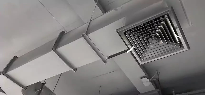 Restorative Allergy Relief Vent Cleaning – Coil, Blower & Housing Detail in Twinsburg