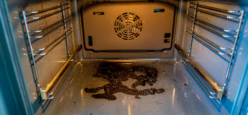 Our Dryer Vent Mold Cleaning Services in Twinsburg, OH