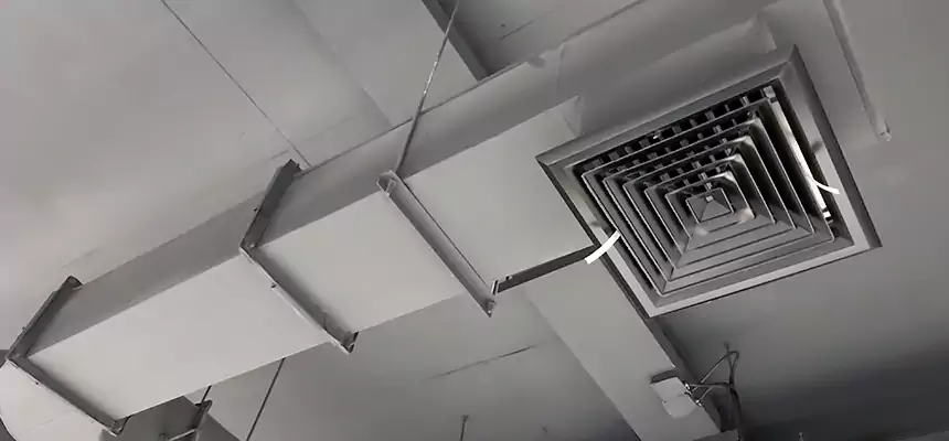 Our Pest Removal From Ducts Services in Twinsburg, OH