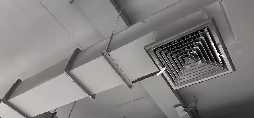 Our Rodent Droppings In Vents Services in Twinsburg, OH