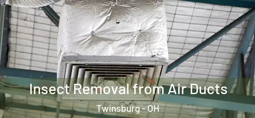 Insect Removal from Air Ducts Twinsburg - OH