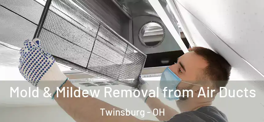 Mold & Mildew Removal from Air Ducts Twinsburg - OH