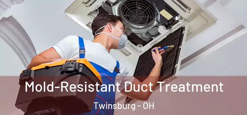  Mold-Resistant Duct Treatment Twinsburg - OH
