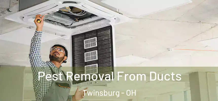  Pest Removal From Ducts Twinsburg - OH