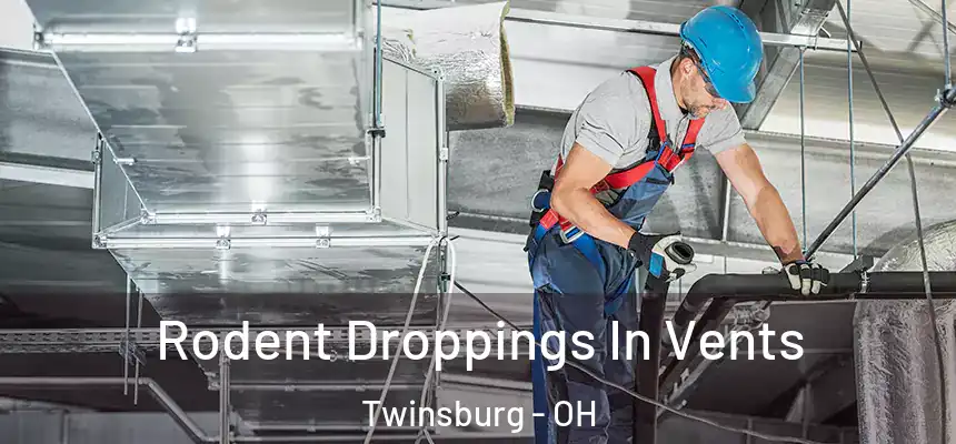  Rodent Droppings In Vents Twinsburg - OH