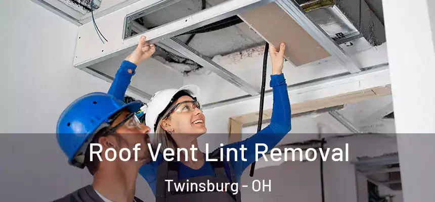  Roof Vent Lint Removal Twinsburg - OH