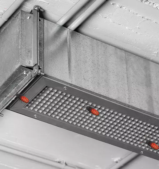 About Air Duct Cockroach Removal in Twinsburg, OH