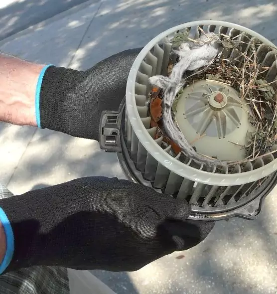 About Air Duct Rat Removal in Twinsburg, OH