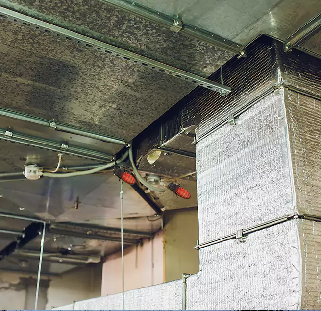 Why Homeowners & Businesses Trust Us in Twinsburg, OH?