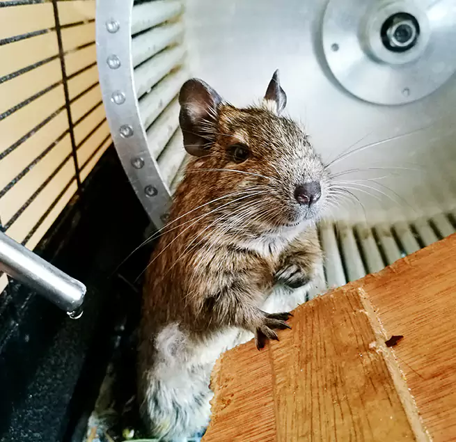 Why Homeowners & Businesses Trust Us Twinsburg, OH?