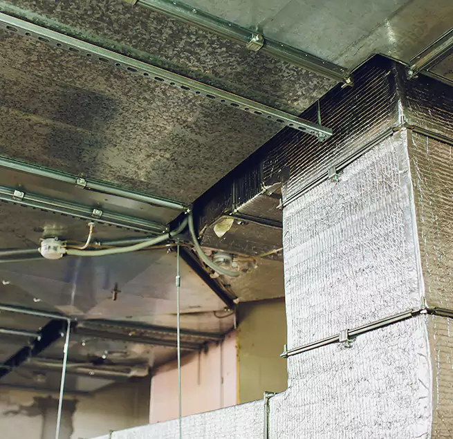 Why Homeowners & Businesses Trust Us in Twinsburg, OH?